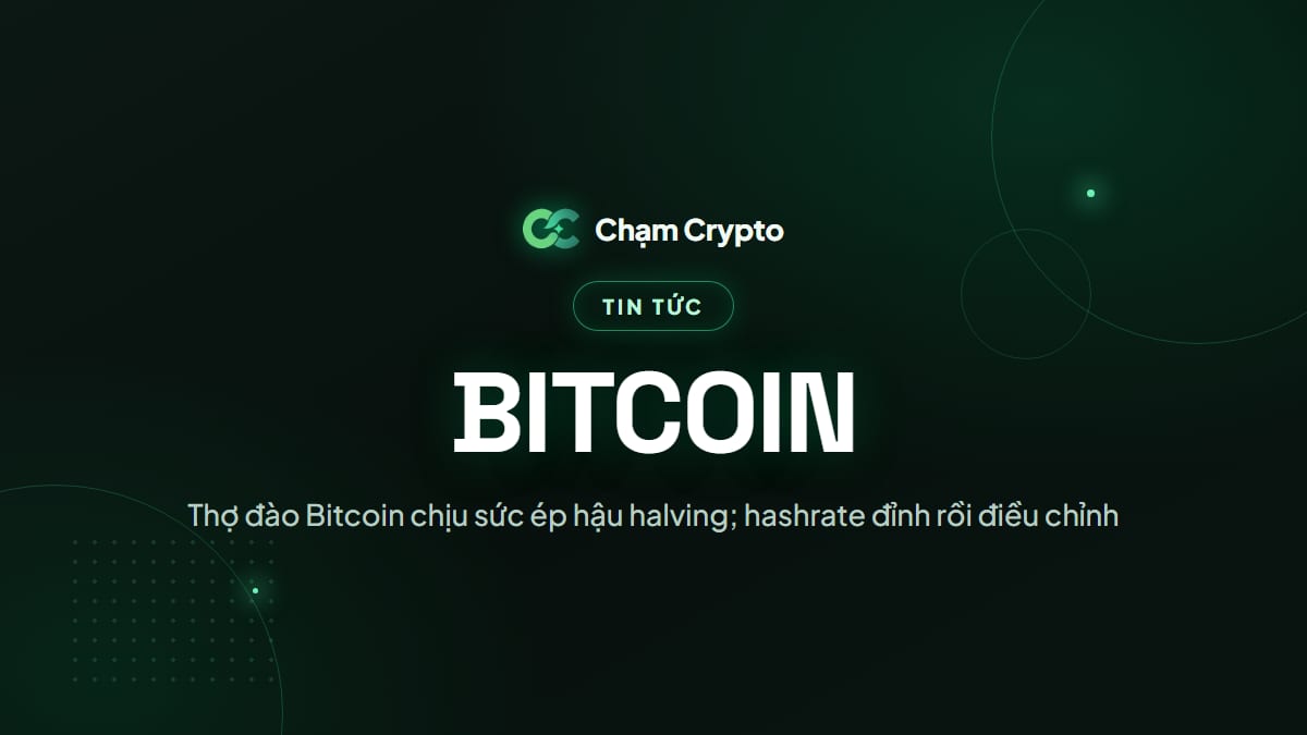 Thợ đào Bitcoin chịu sức ép hậu halving; hashrate đỉnh rồi điều chỉnh