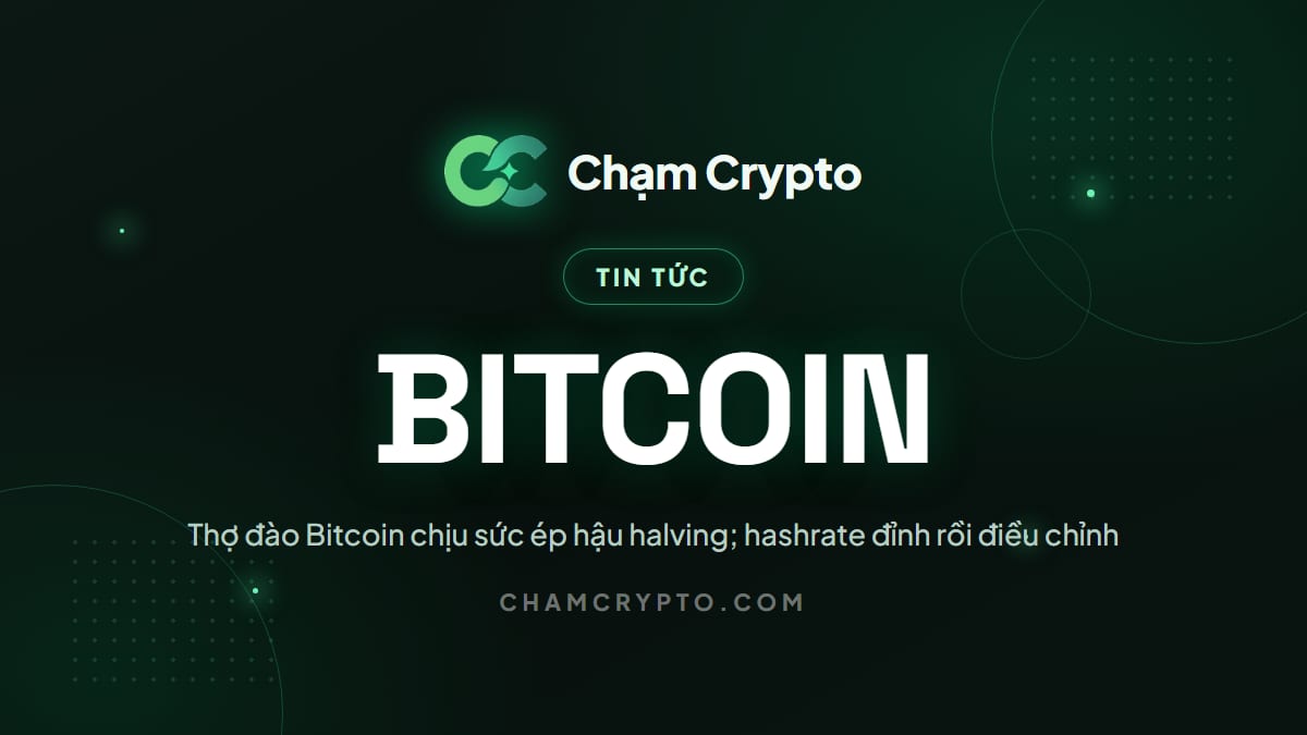 Thợ đào Bitcoin chịu sức ép hậu halving; hashrate đỉnh rồi điều chỉnh